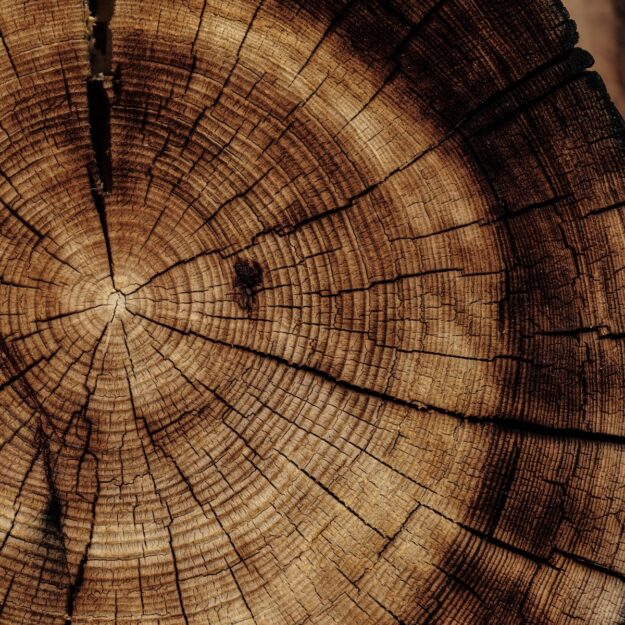 Comment reconnaître le bois d’un meuble