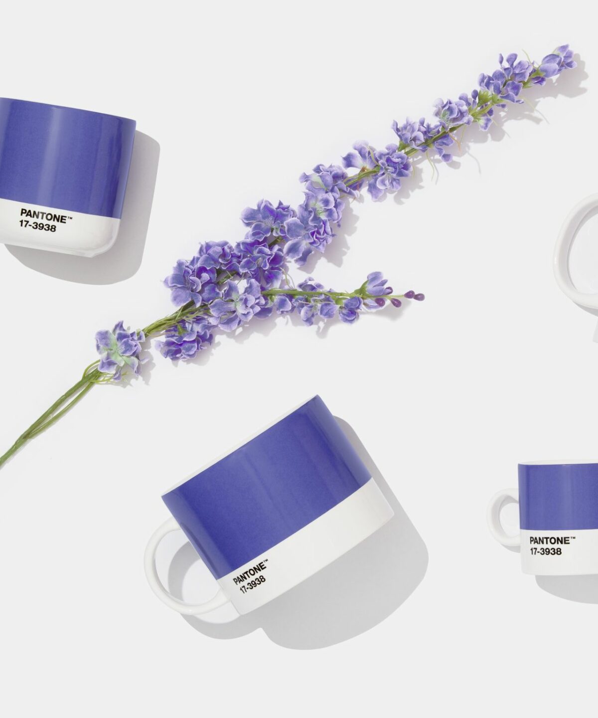 Pantone couleur année 2022 déco violet lavande